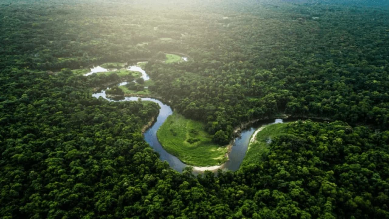 photologuephotos2025-03tamano_de_fotos_52png photologuephotos2025-03tamano_de_fotos_52png