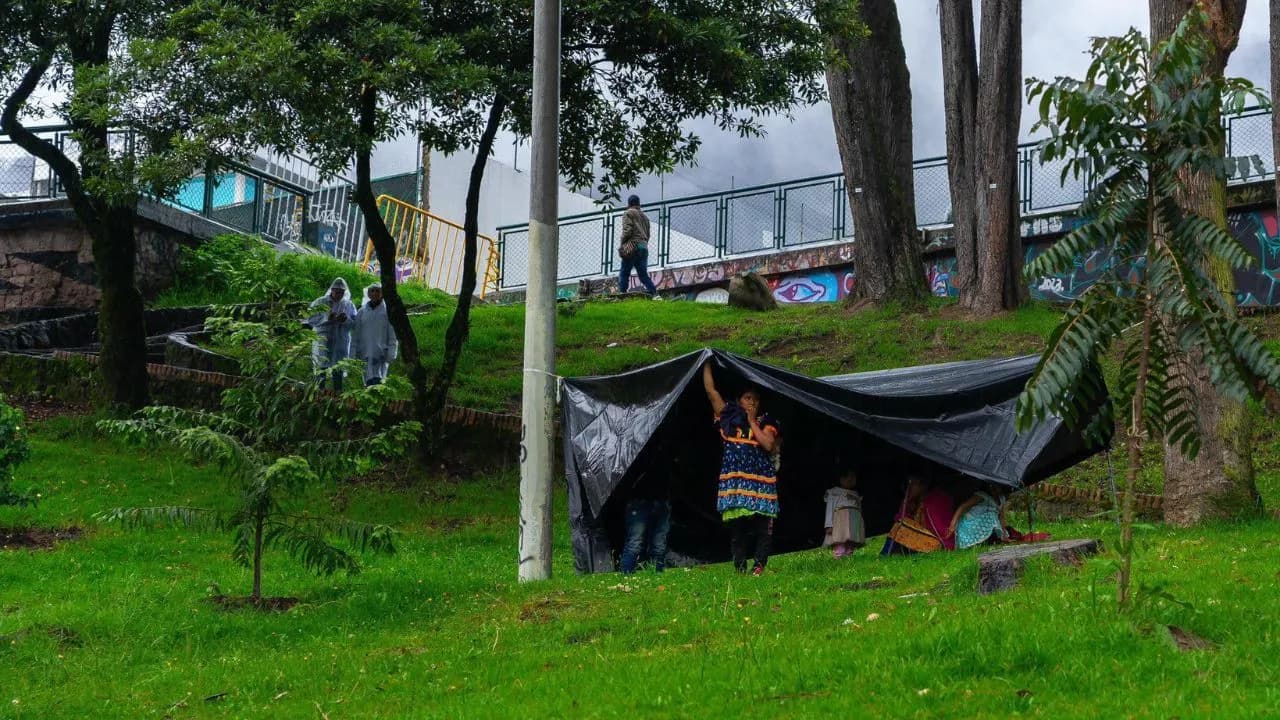 comunidad_embera_regreso_al_parque_nacional_distrito_rechazo_agresion_a_funcionaria.jpg comunidad_embera_regreso_al_parque_nacional_distrito_rechazo_agresion_a_funcionaria.jpg