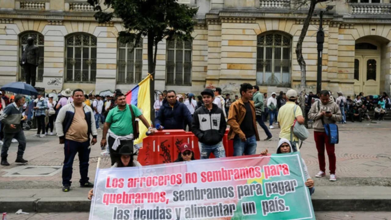paro_arrocero_asi_avanzan_las_negociaciones_tras_la_primera_jornada_de_dialogo.jpg paro_arrocero_asi_avanzan_las_negociaciones_tras_la_primera_jornada_de_dialogo.jpg
