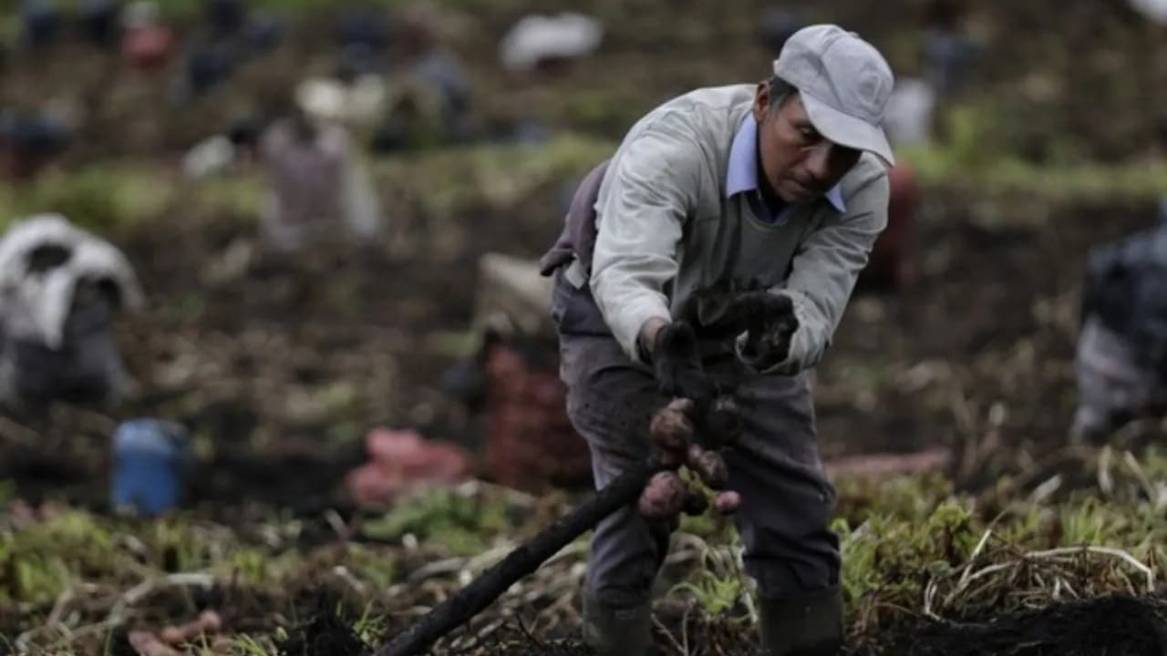 photologuephotos2025-09consulta_popular_campesina_las_preguntas_el_paso_a_paso_del_tramitejpg photologuephotos2025-09consulta_popular_campesina_las_preguntas_el_paso_a_paso_del_tramitejpg