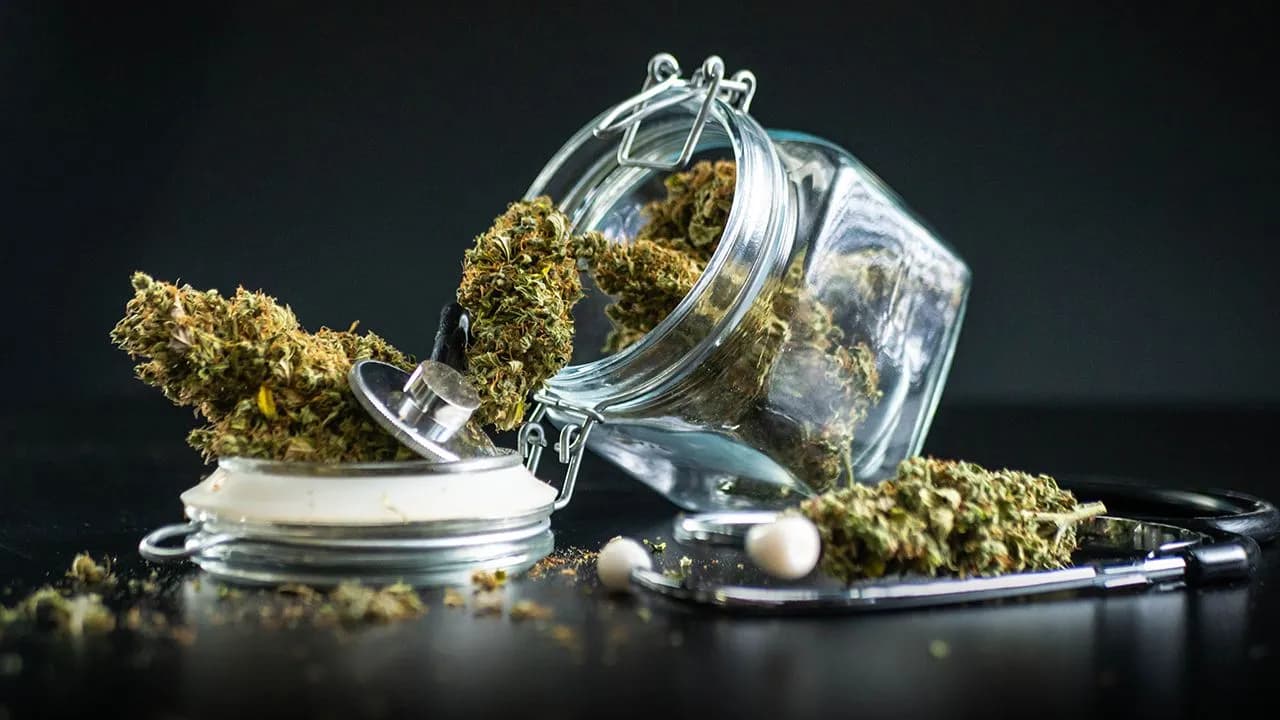 Gobierno autoriza cannabis medicinal Gobierno autoriza cannabis medicinal