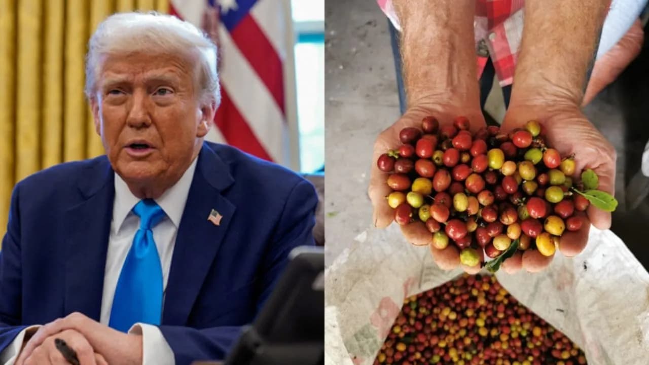 Trump ajusta aranceles Trump ajusta aranceles