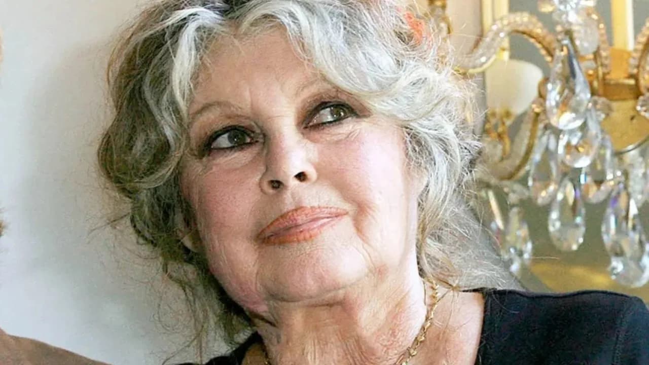 Brigitte Bardot Brigitte Bardot
