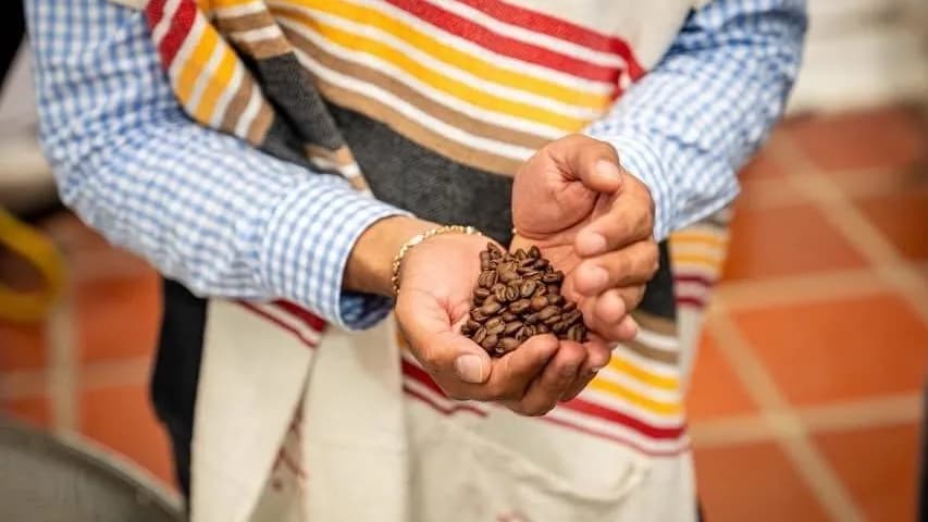 La visita de los compradores europeos permitió conocer de primera mano los procesos productivos, las prácticas de sostenibilidad, la catación y el barismo desarrollados por asociaciones cafeteras de municipios PDET. La visita de los compradores europeos permitió conocer de primera mano los procesos productivos, las prácticas de sostenibilidad, la catación y el barismo desarrollados por asociaciones cafeteras de municipios PDET.