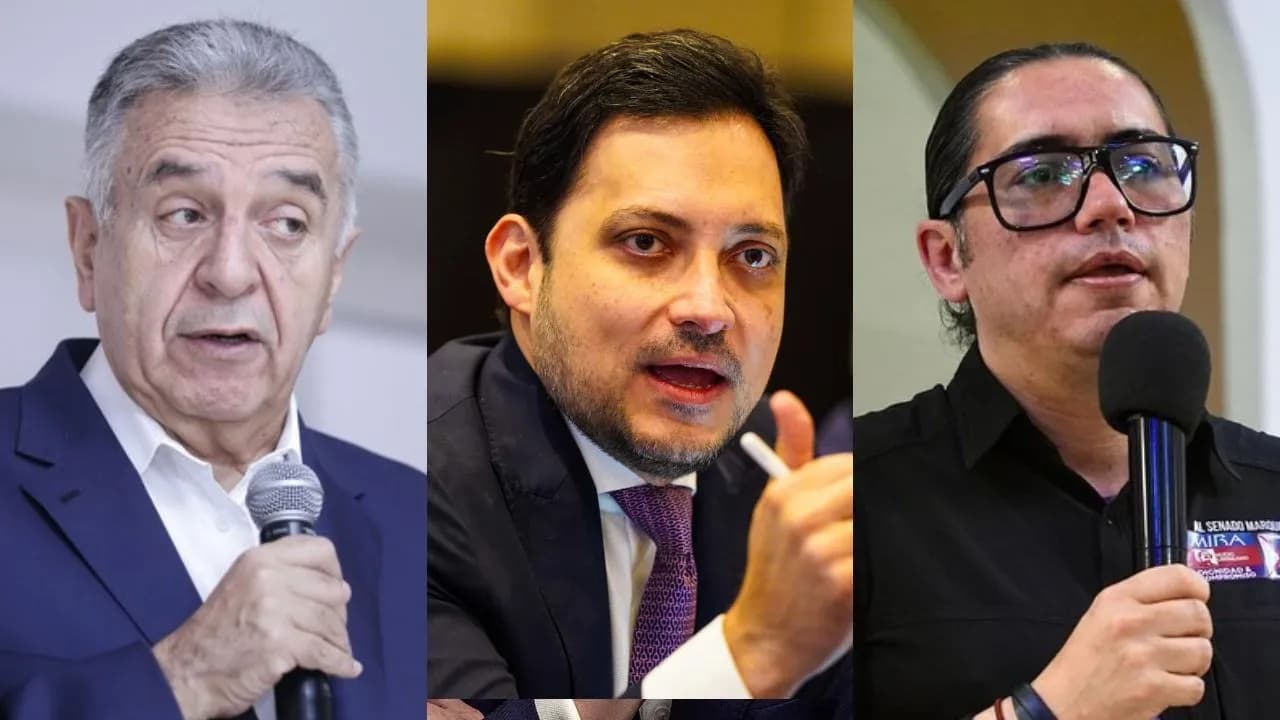 Cabezas de lista al Senado Cabezas de lista al Senado