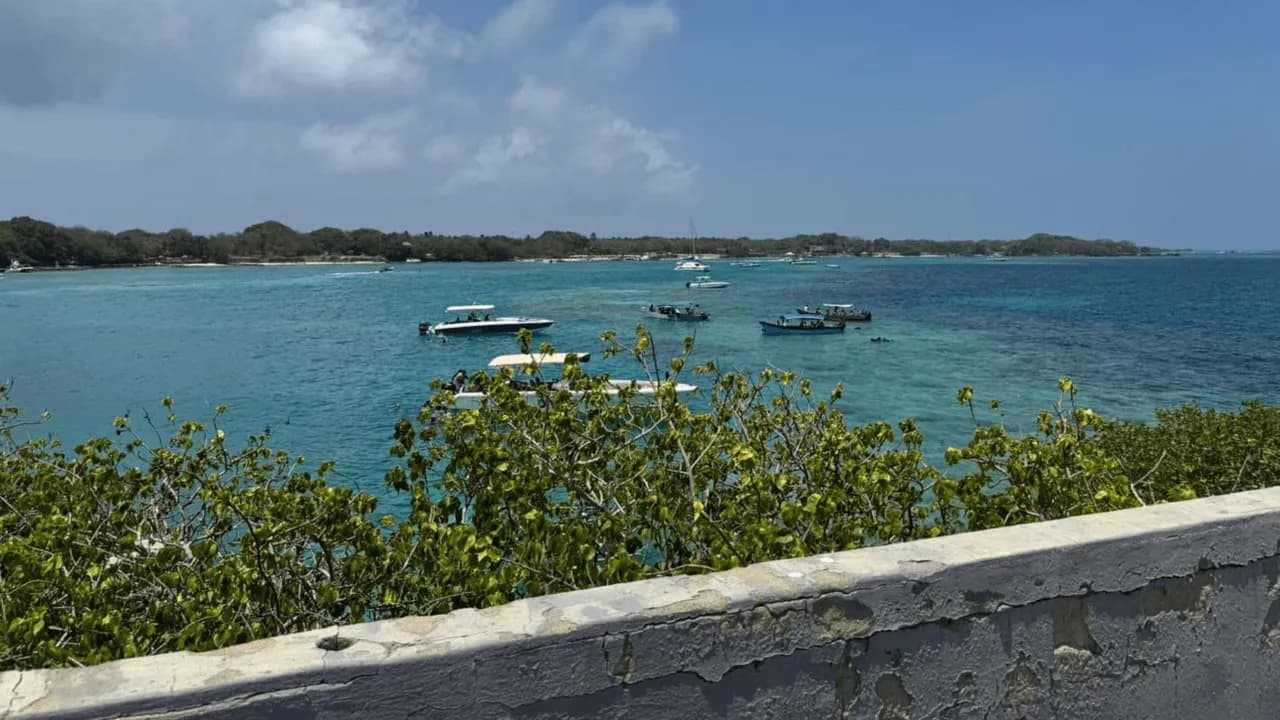Isla Fiesta, está en jurisdicción administrativa de de Cartagena. Isla Fiesta, está en jurisdicción administrativa de de Cartagena.