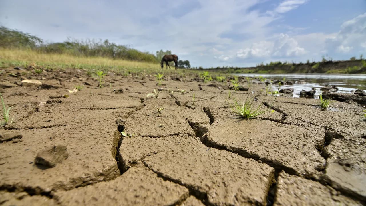 El fenómeno de El Niño podría reducir las lluvias en regiones El fenómeno de El Niño podría reducir las lluvias en regiones
