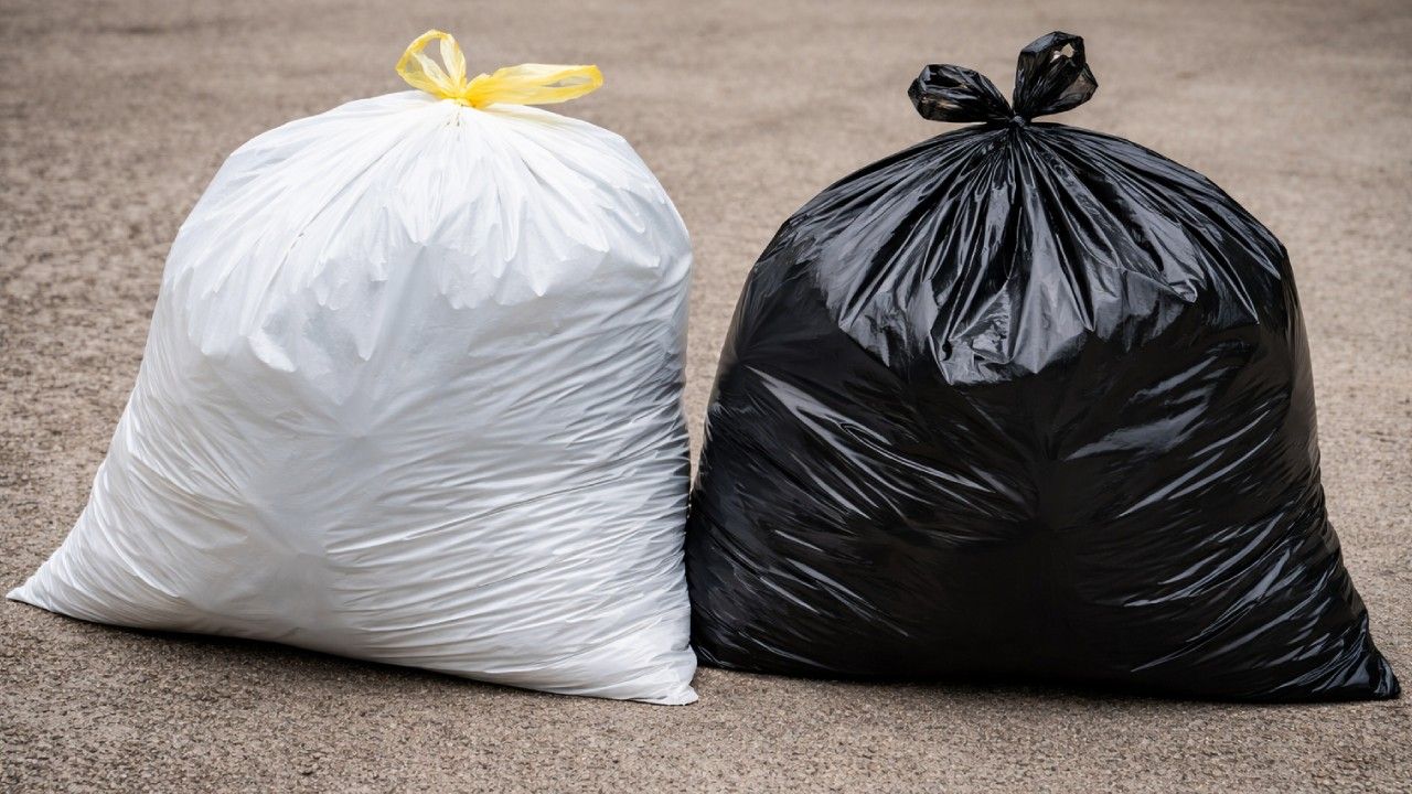 Basura 2.jpg