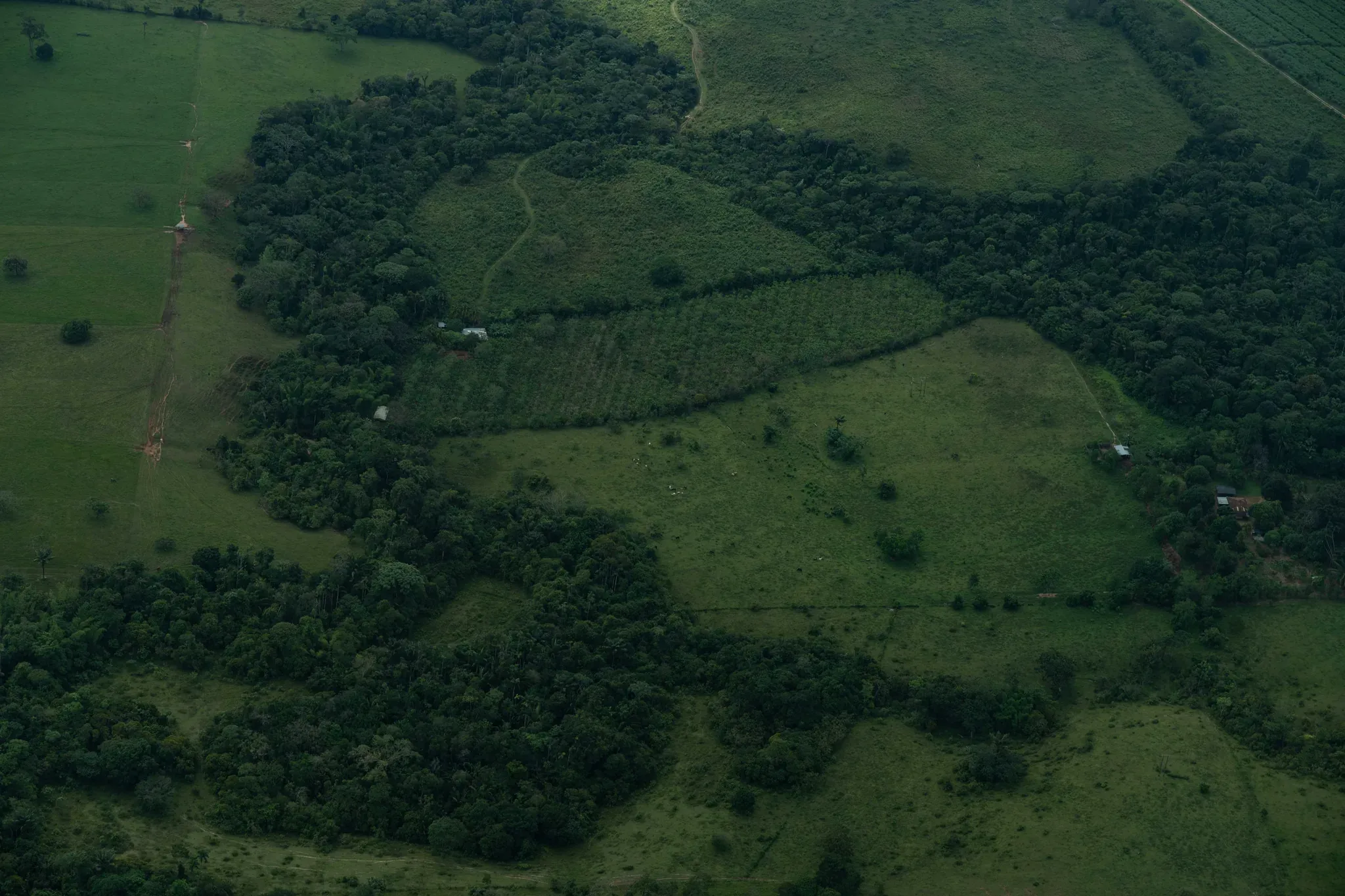 Potreros y parches de bosque entremezclados, vistos desde el aire.