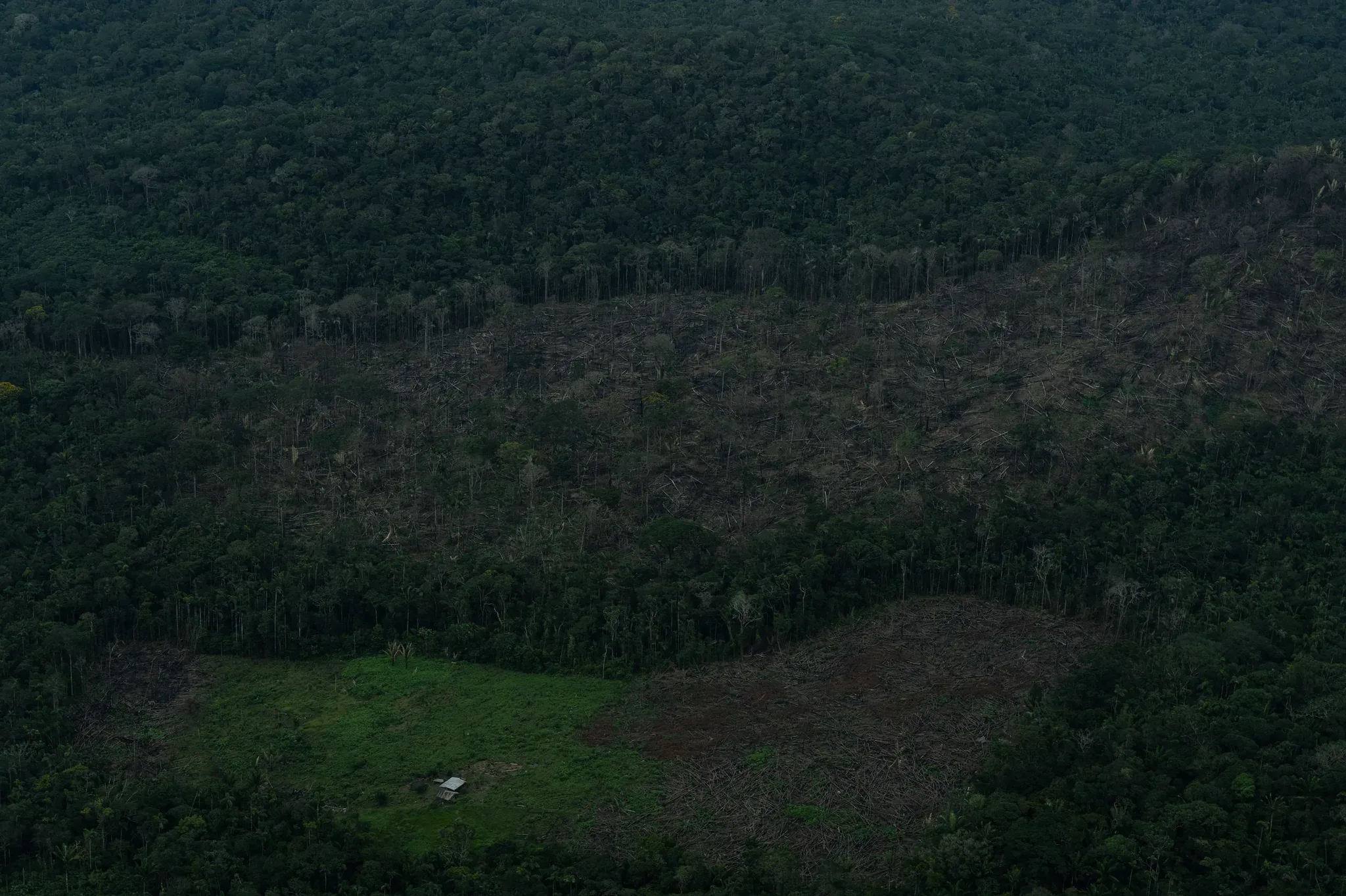 Vista aérea de una herida de deforestación abierta en el corazón del bosque amazónico continuo.