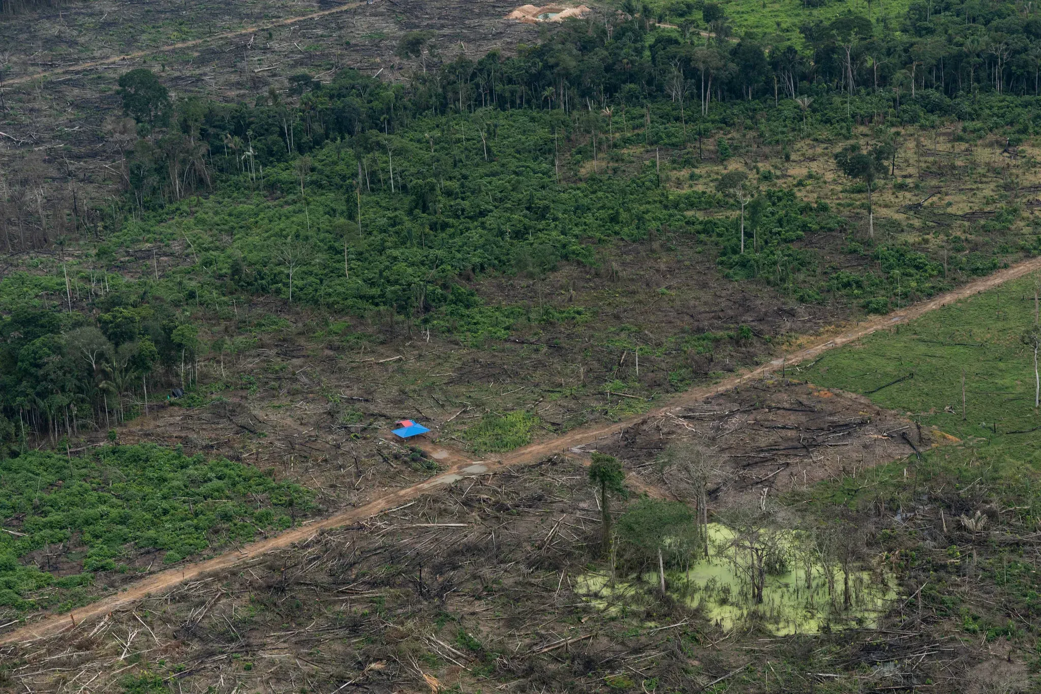 Vivienda de techo azul y una trocha que cruza un área de bosque arrasado en regeneración.