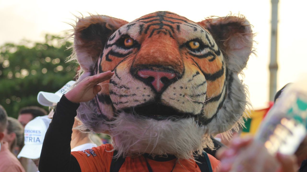 El Tigre en Barranquilla.jpg