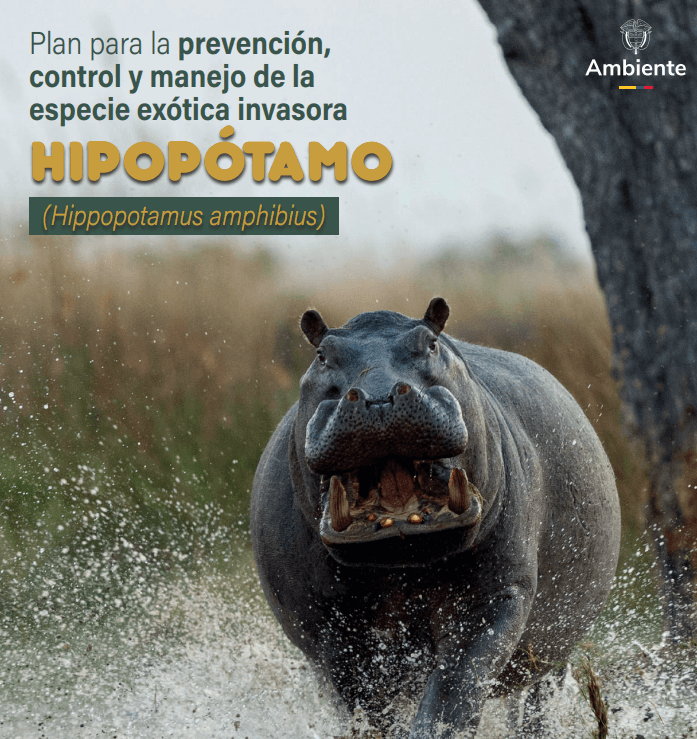 El plan de manejo de hipopótamos se estableció en el gobierno anterior. Crédito: Ministerio de Ambiente
