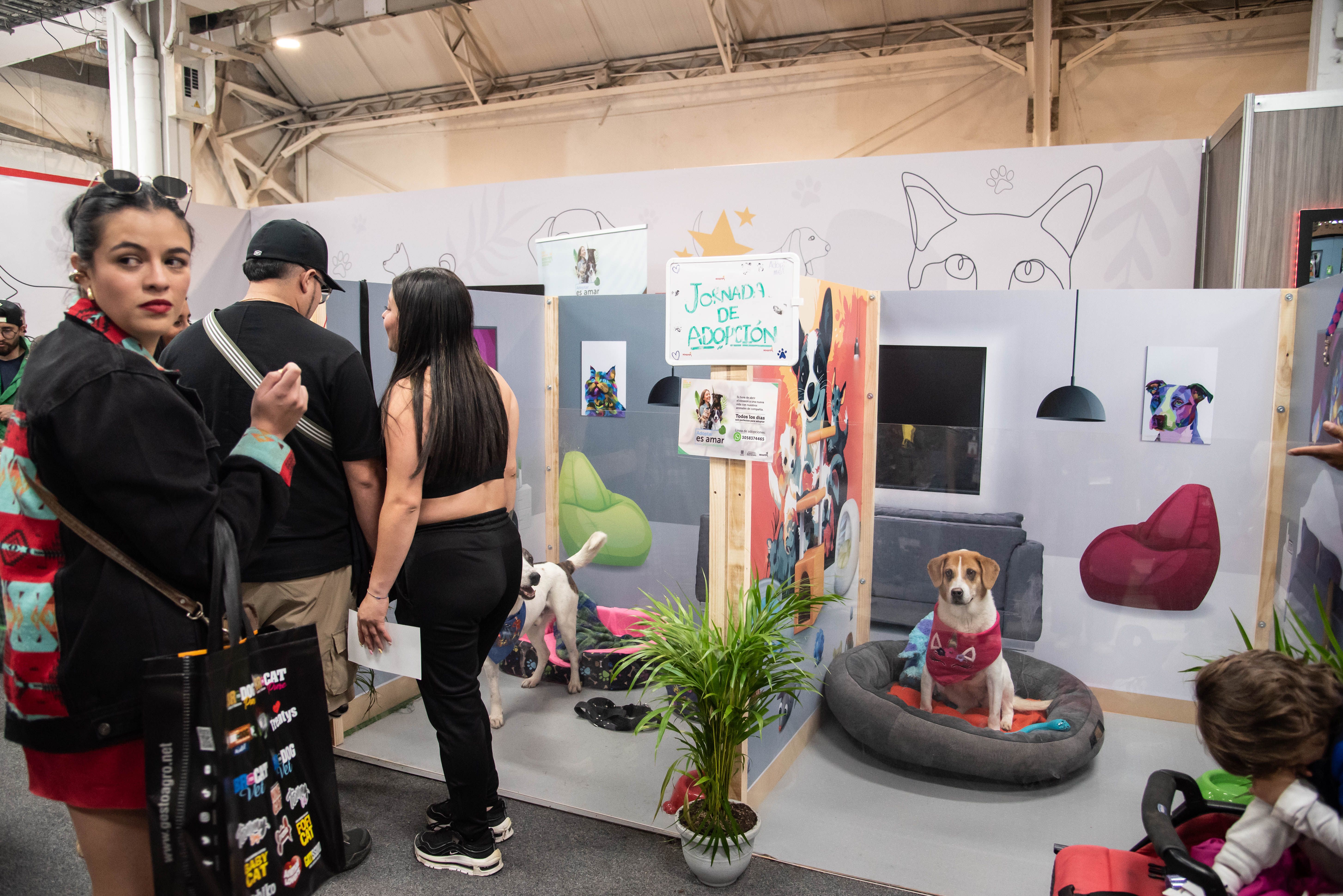 En Expopet, 101 perros y gatos rescatados del abandono esperan encontrar un hogar responsable VII.jpg