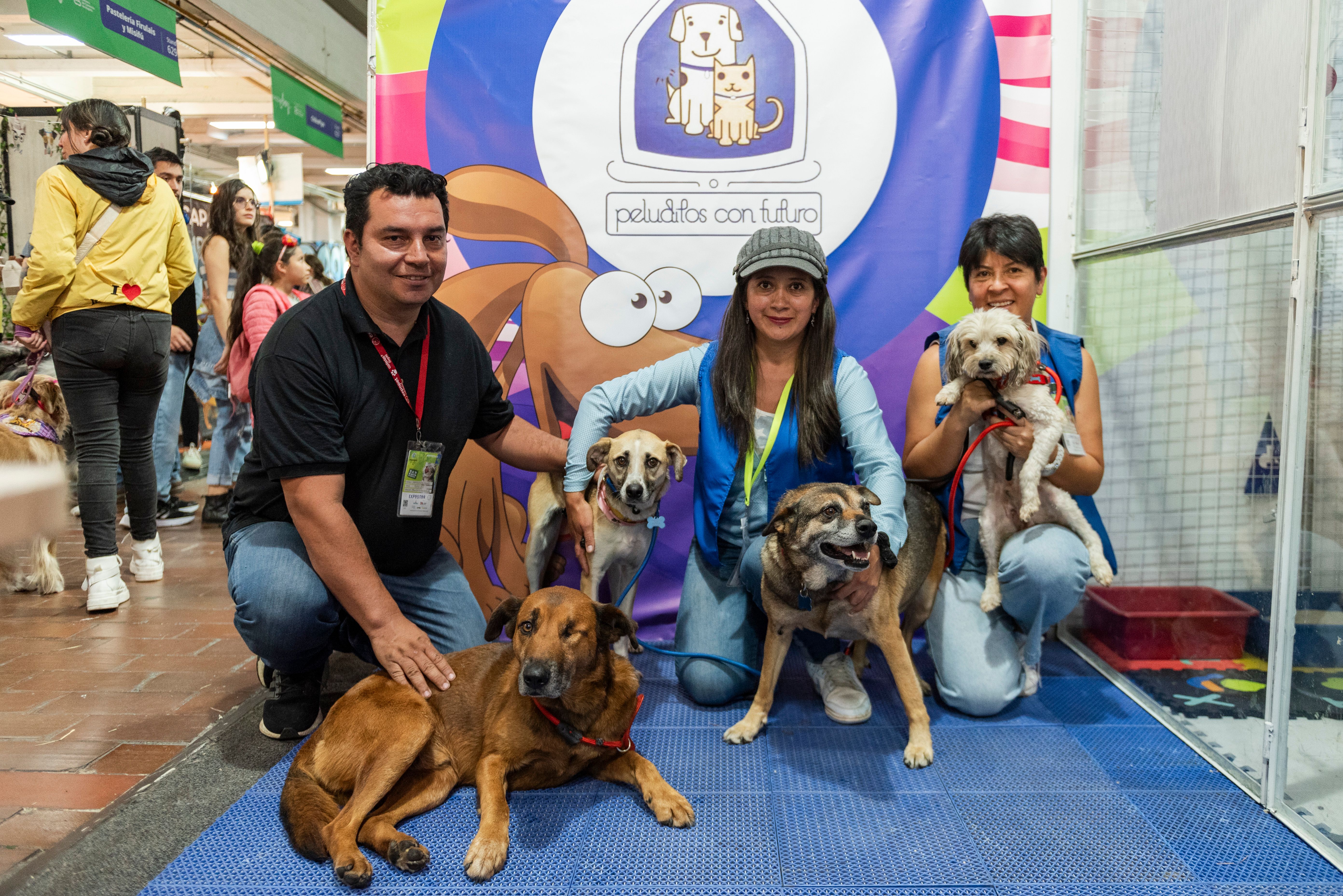 En Expopet, 101 perros y gatos rescatados del abandono esperan encontrar un hogar responsable X.JPG
