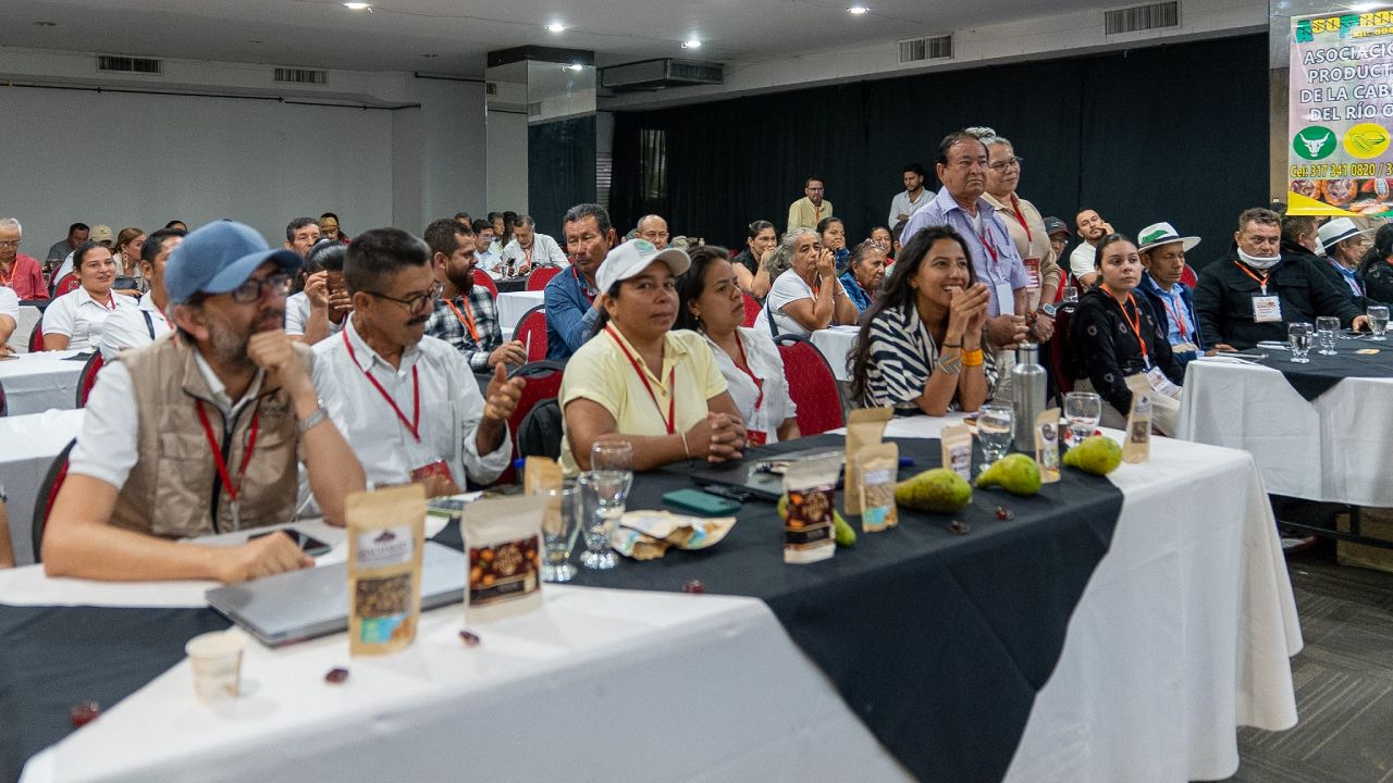 Esta es una de las iniciativas agroindustriales más ambiciosas para el sector cacaotero de Santander | Crédito: Cortesía.