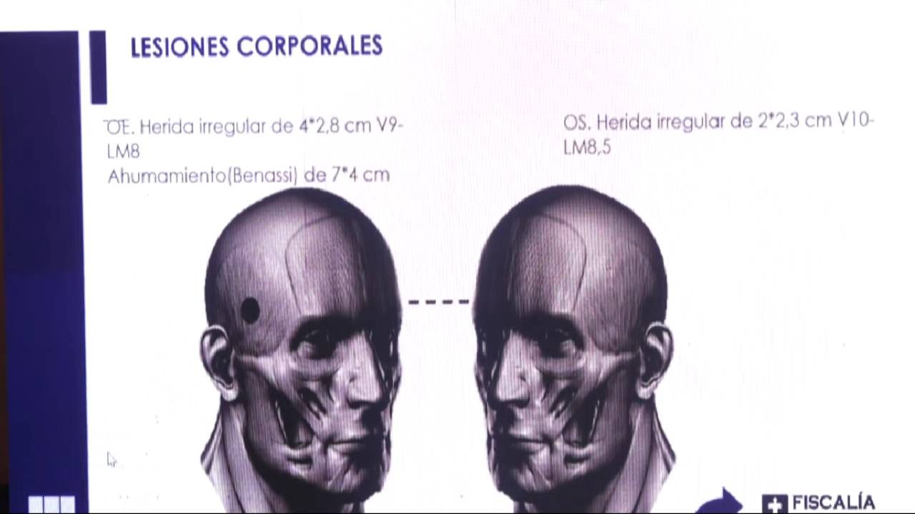 proyecto_nuevo_12_1.jpg
