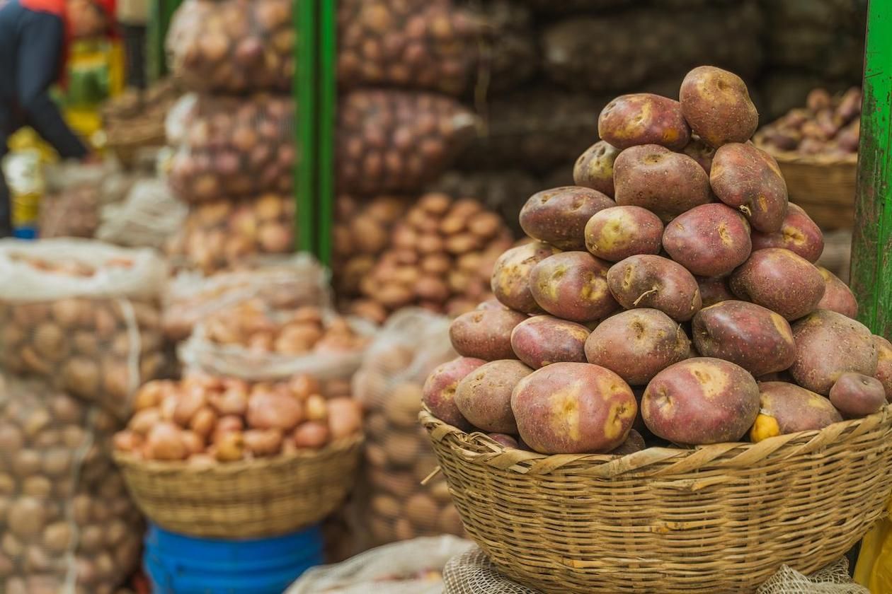 agro_plaza_palo_quemao_colombia_pal_mundo-7.jpg