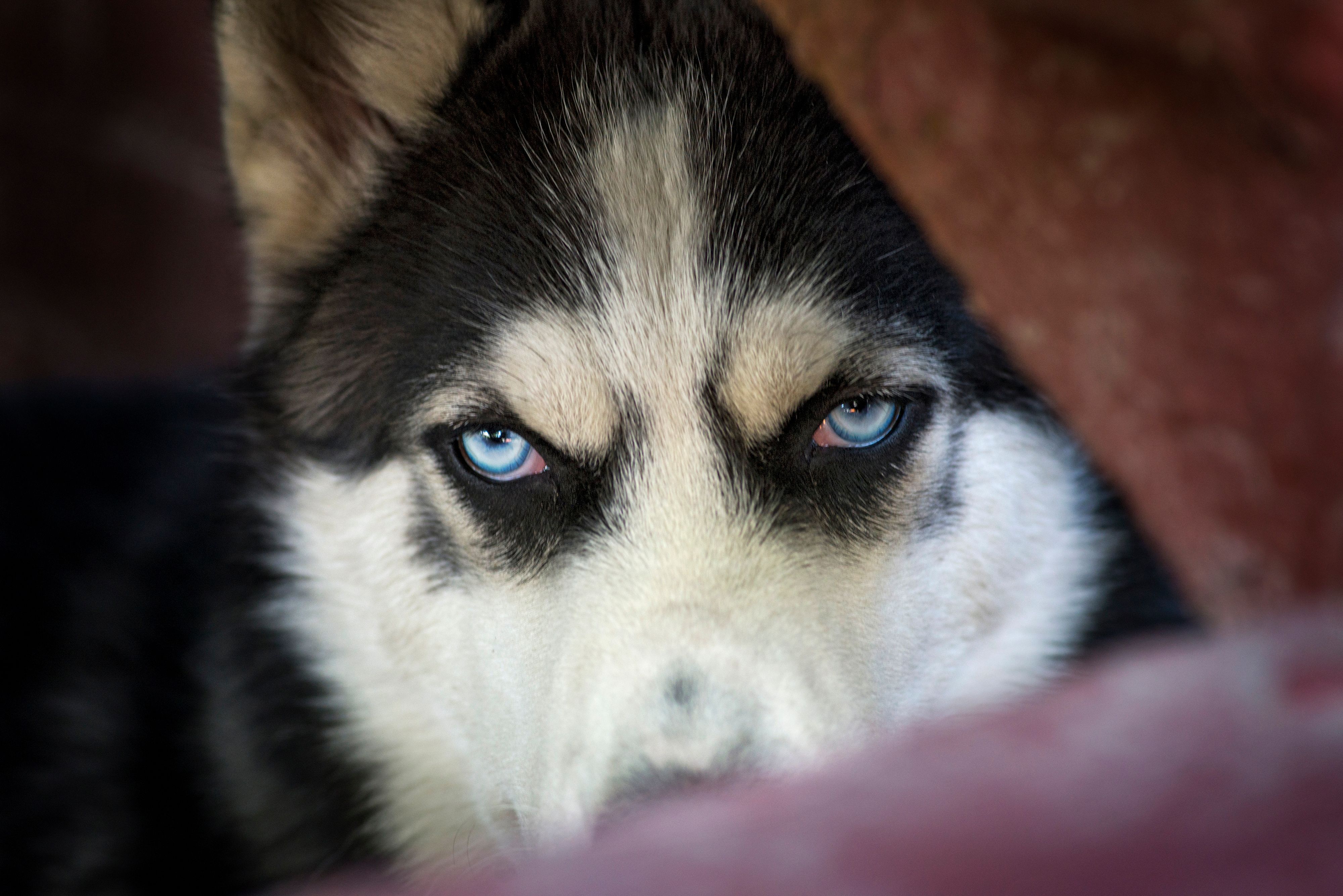adobestock_230889663.jpeg