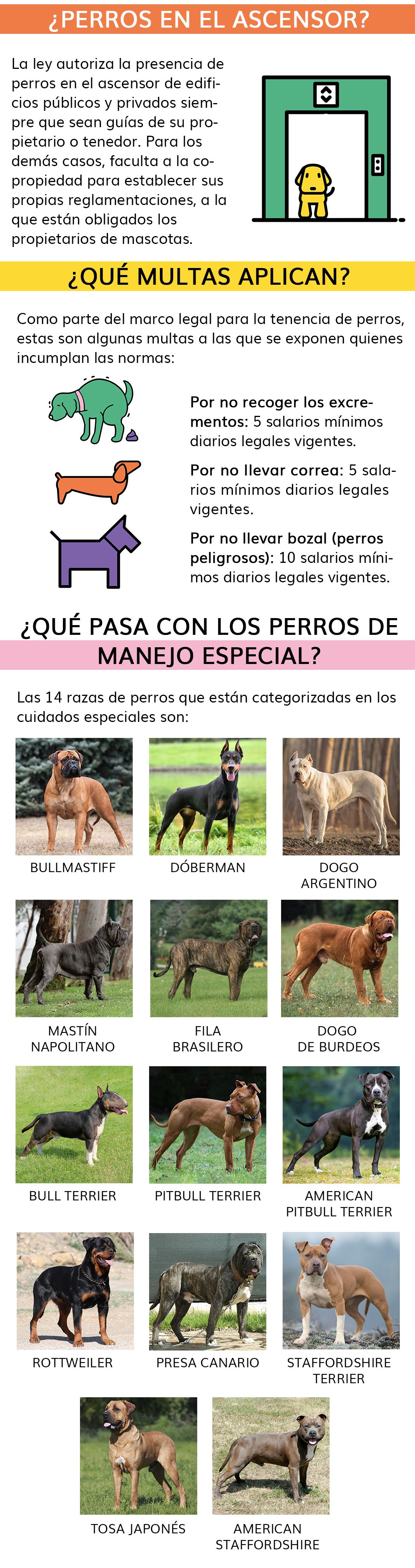 mascotas2.jpg