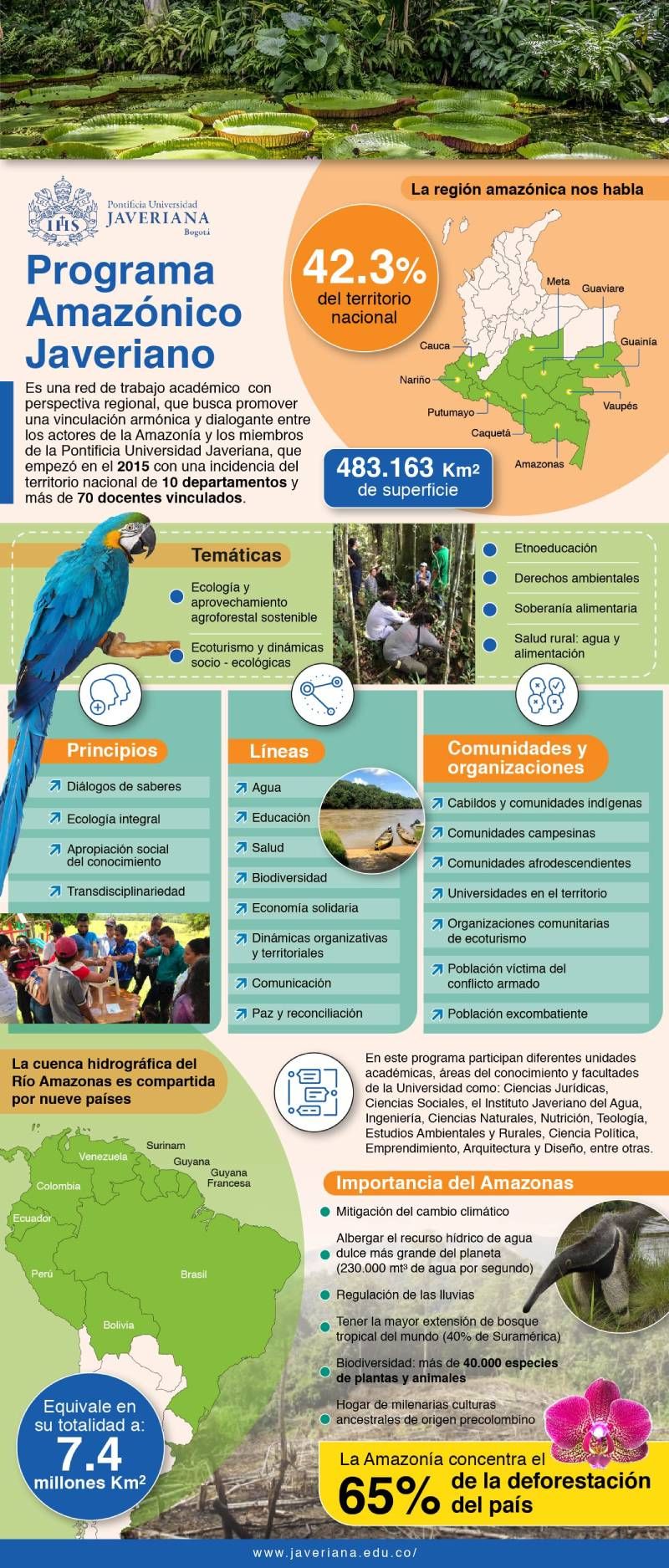 infografia_u_javeriana_v2_mesa_de_trabajo_1_1.jpg