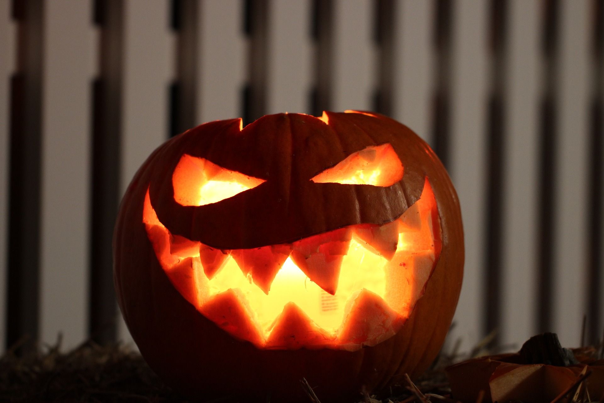 pumpkin-1789832_1920.jpg