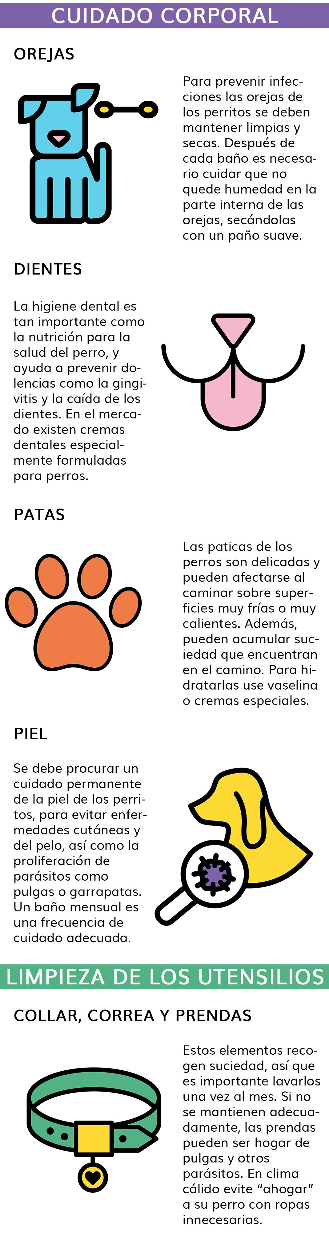 perritos1_0.jpg
