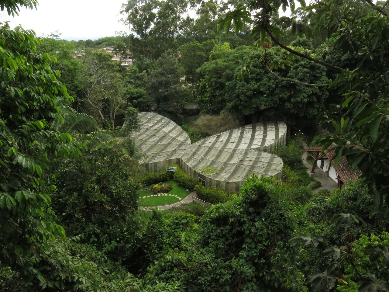 image_26692_1.jpg