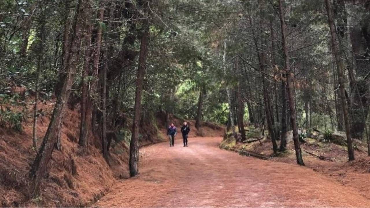 sendero_santa_ana_la_aguadora.jpg