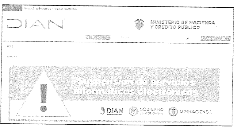 pagina_web_dian.png