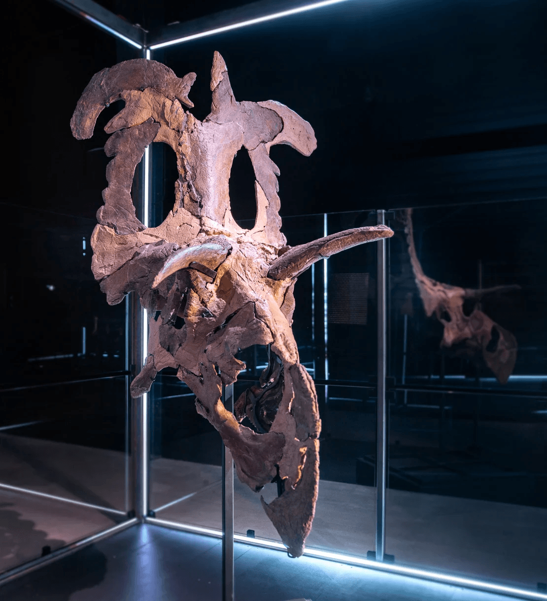 240620083633-02-mysterious-dinosaur-named.jpg
