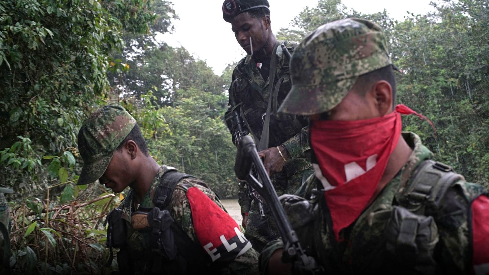 eln.jpeg