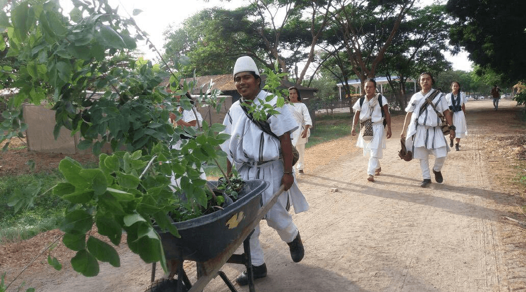 wilfirdo_izquierdo_arhuaco.png