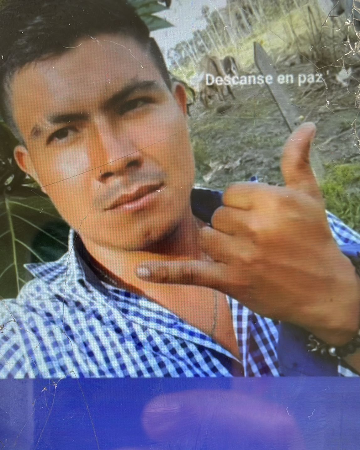 aliss_stiven_3.jpg