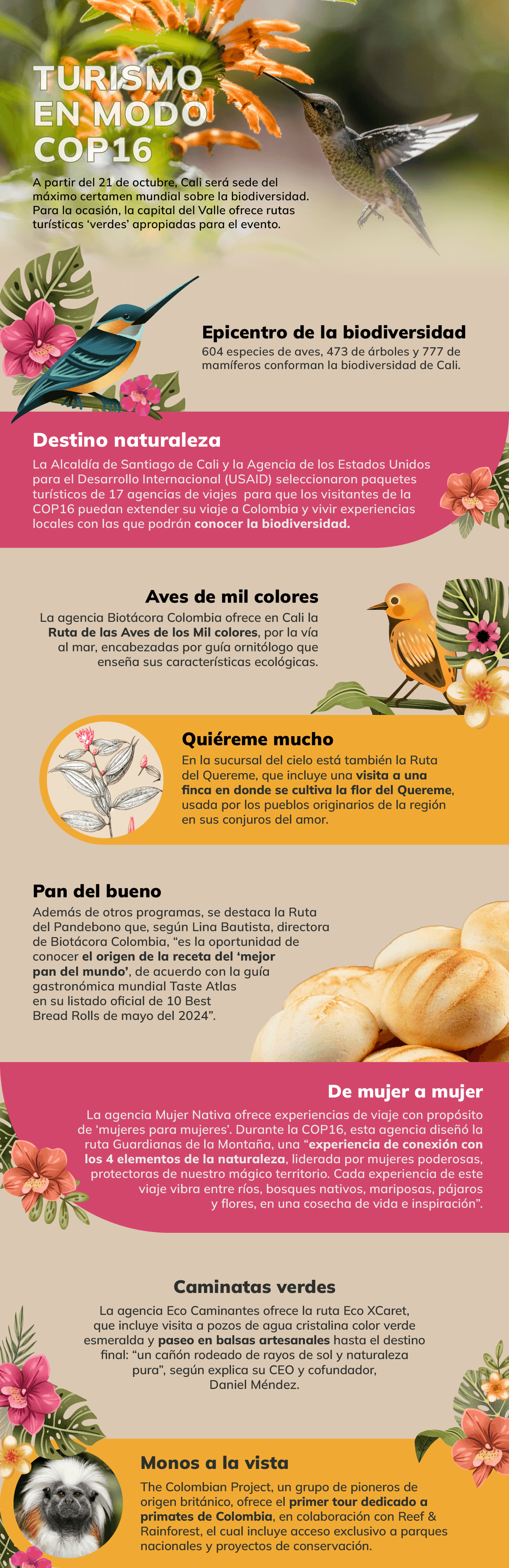 bancolombiaok-10octubre_1.png