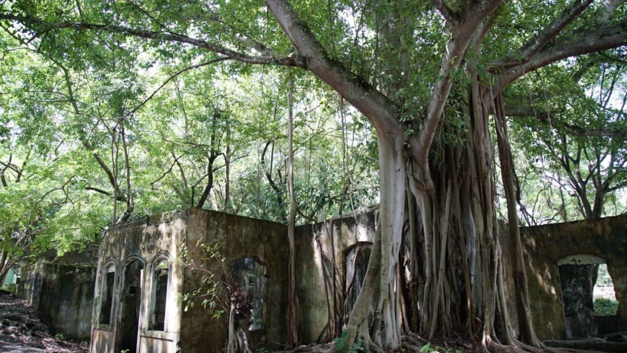 ruinas_de_armero.jpg