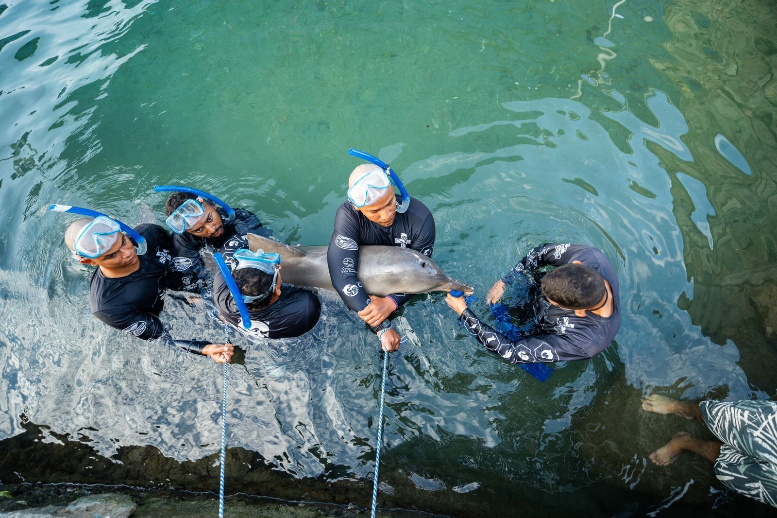image_31697_1.jpg