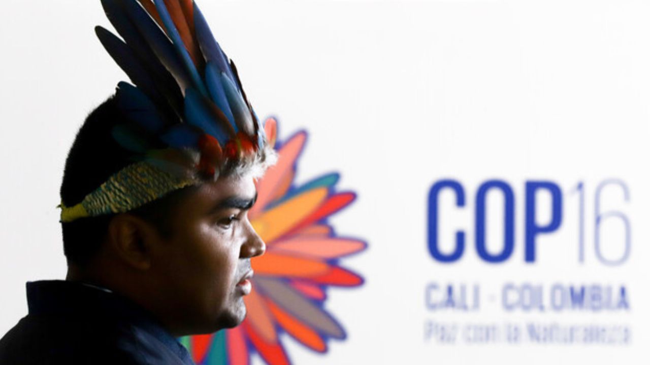 pueblos_indigenas_en_la_cop16.jpg