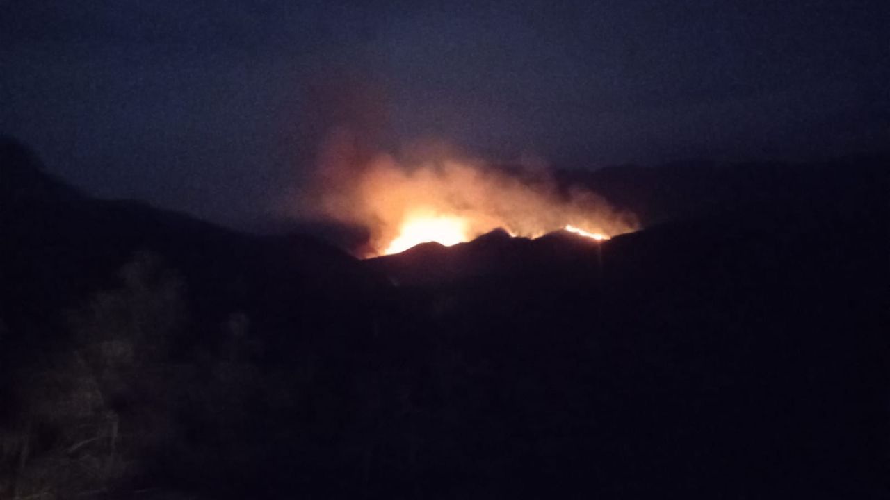 incendio_forestal.jpg