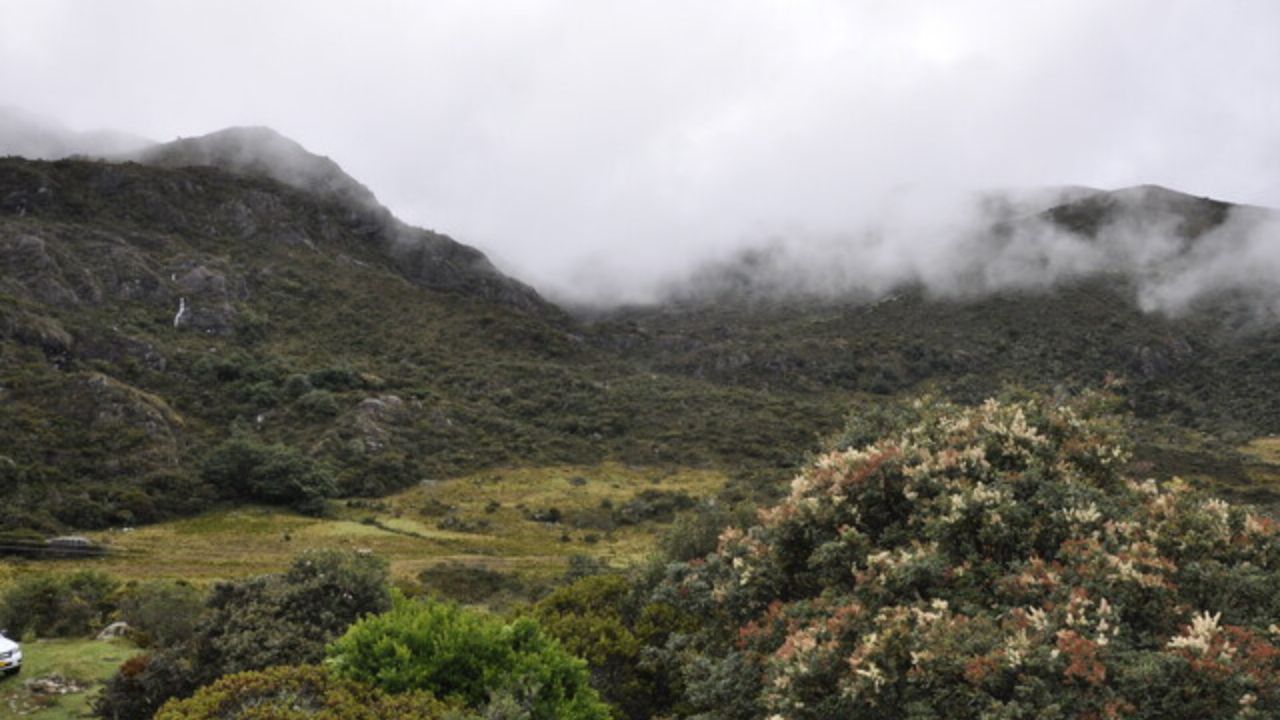 paramo_3.jpg