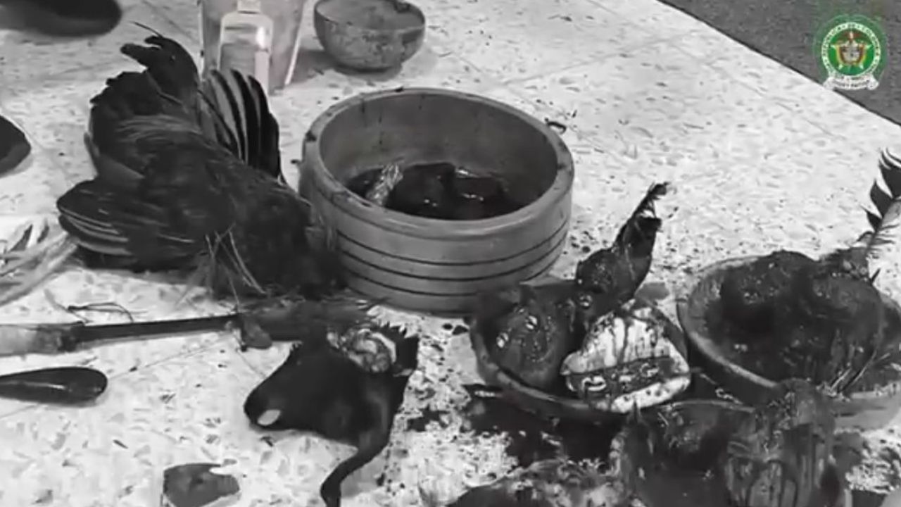 actos_satanicos_alias_gallina.jpg