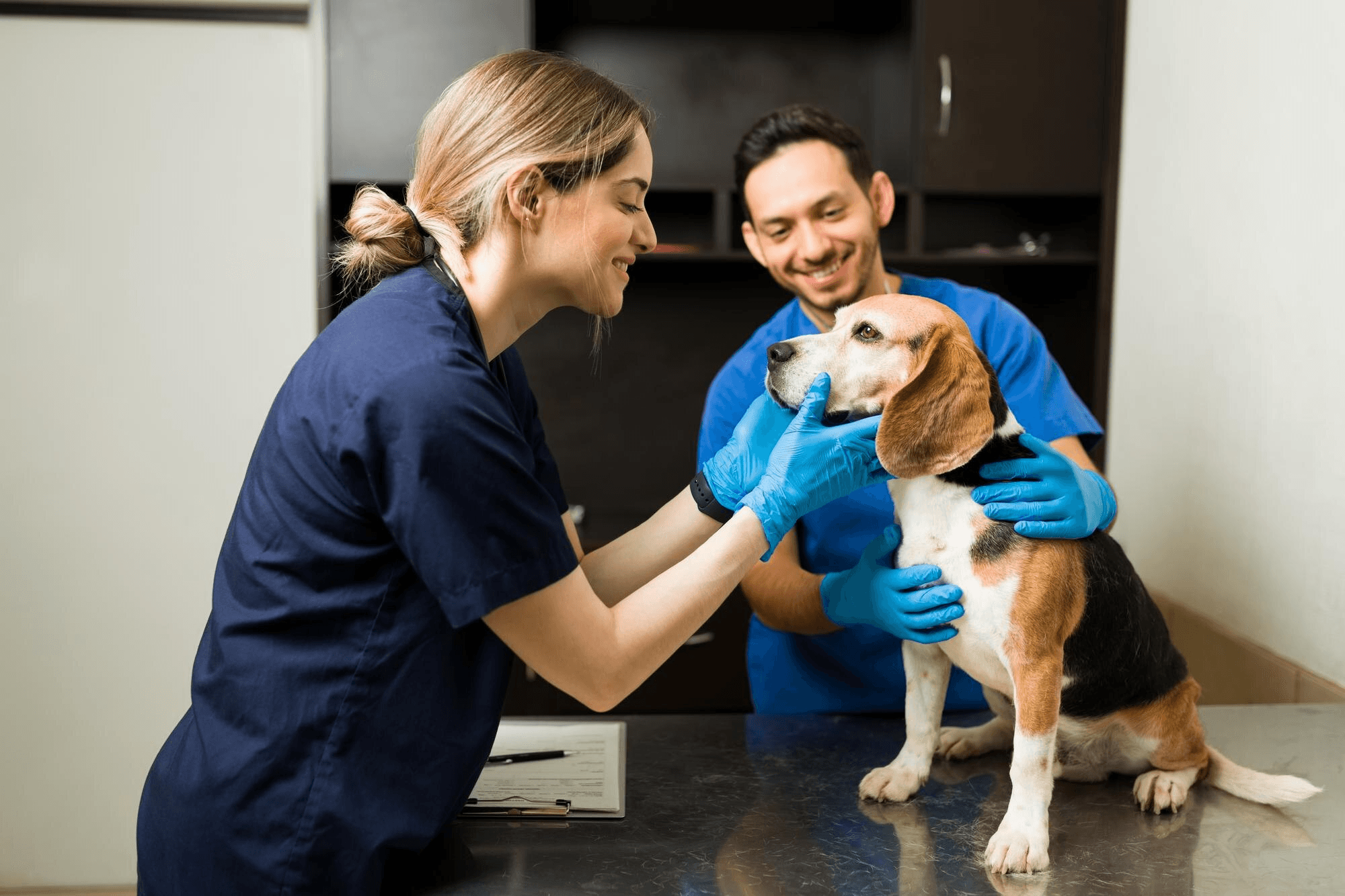 los_perros_grandes_son_mas_propensos_a_desarrollar_patologias_medicas.jpg