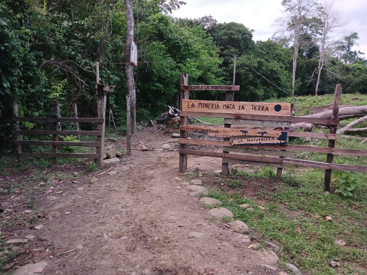 whatsapp_image_2025-01-09_at_12.47.01.jpeg
