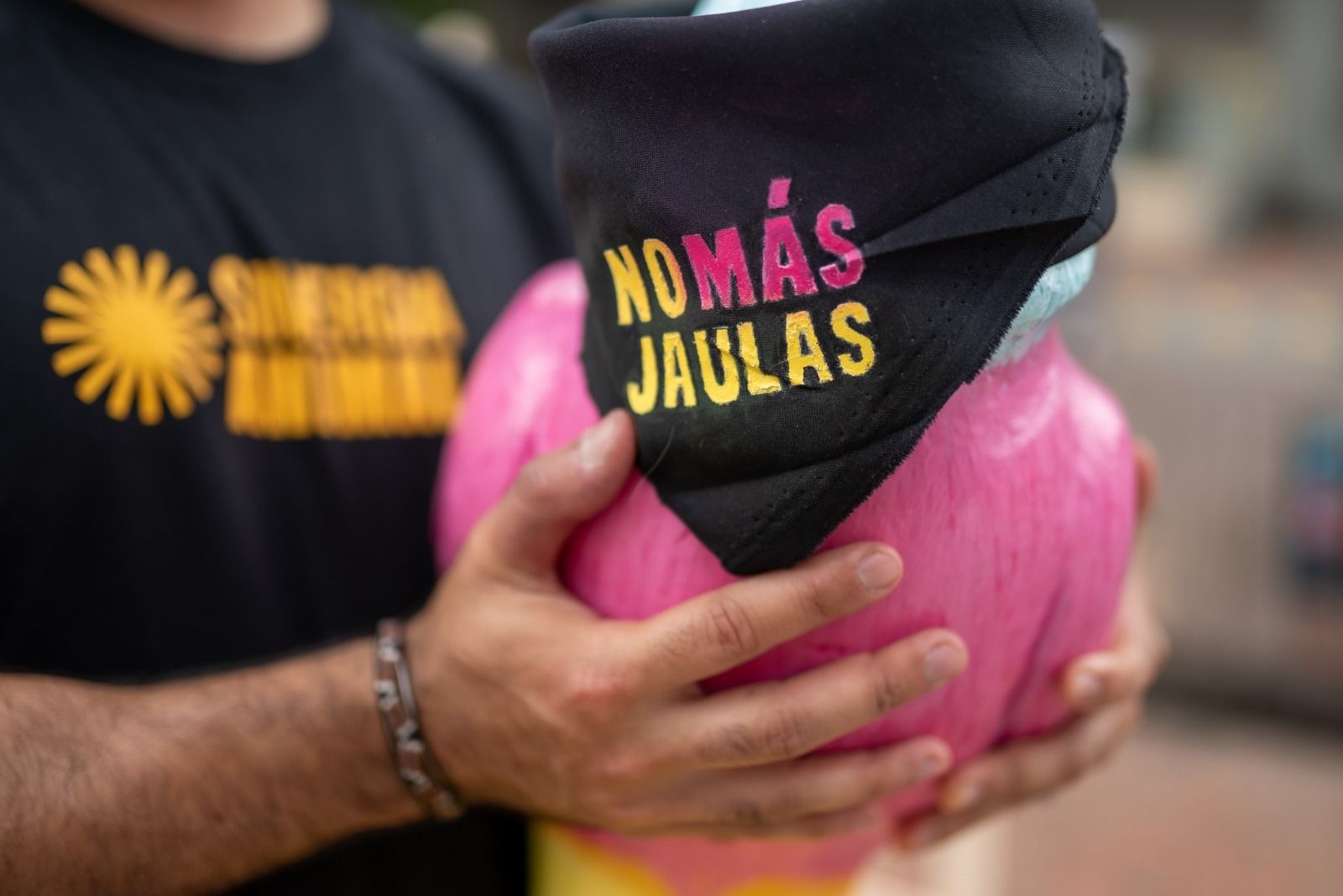 no_mas_jaulas_2.jpeg