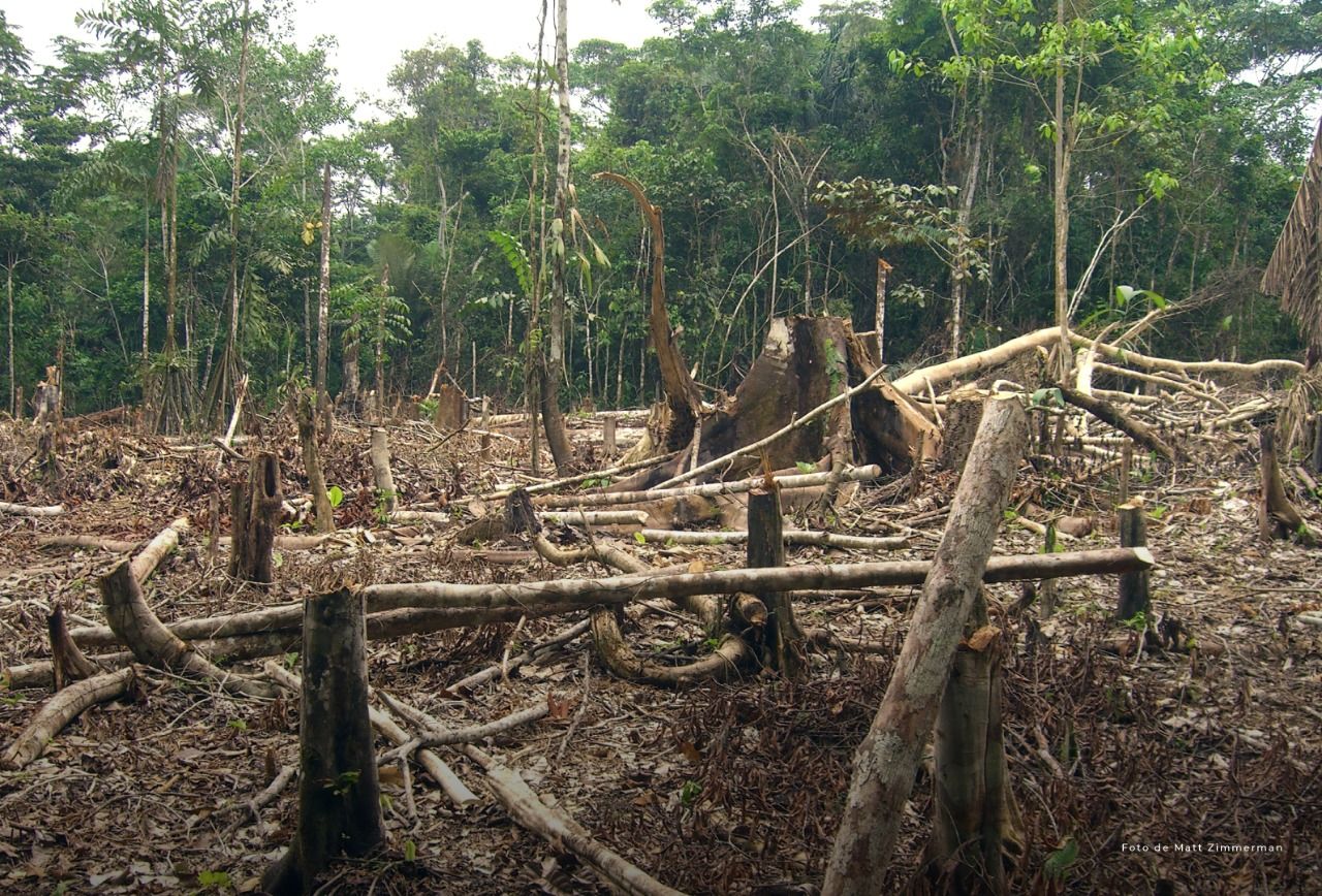 deforestacion_imagen_ilustrativa.jpg