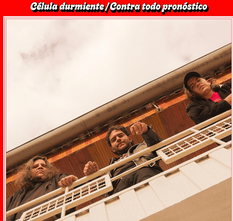 captura_de_pantalla_2025-02-26_a_la_s_11.37.46_a._m.png