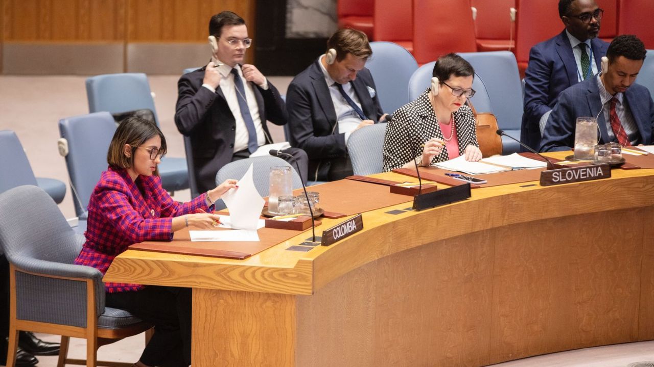 laura_sarabia_en_el_consejo_de_seguridad_de_la_onu.jpg
