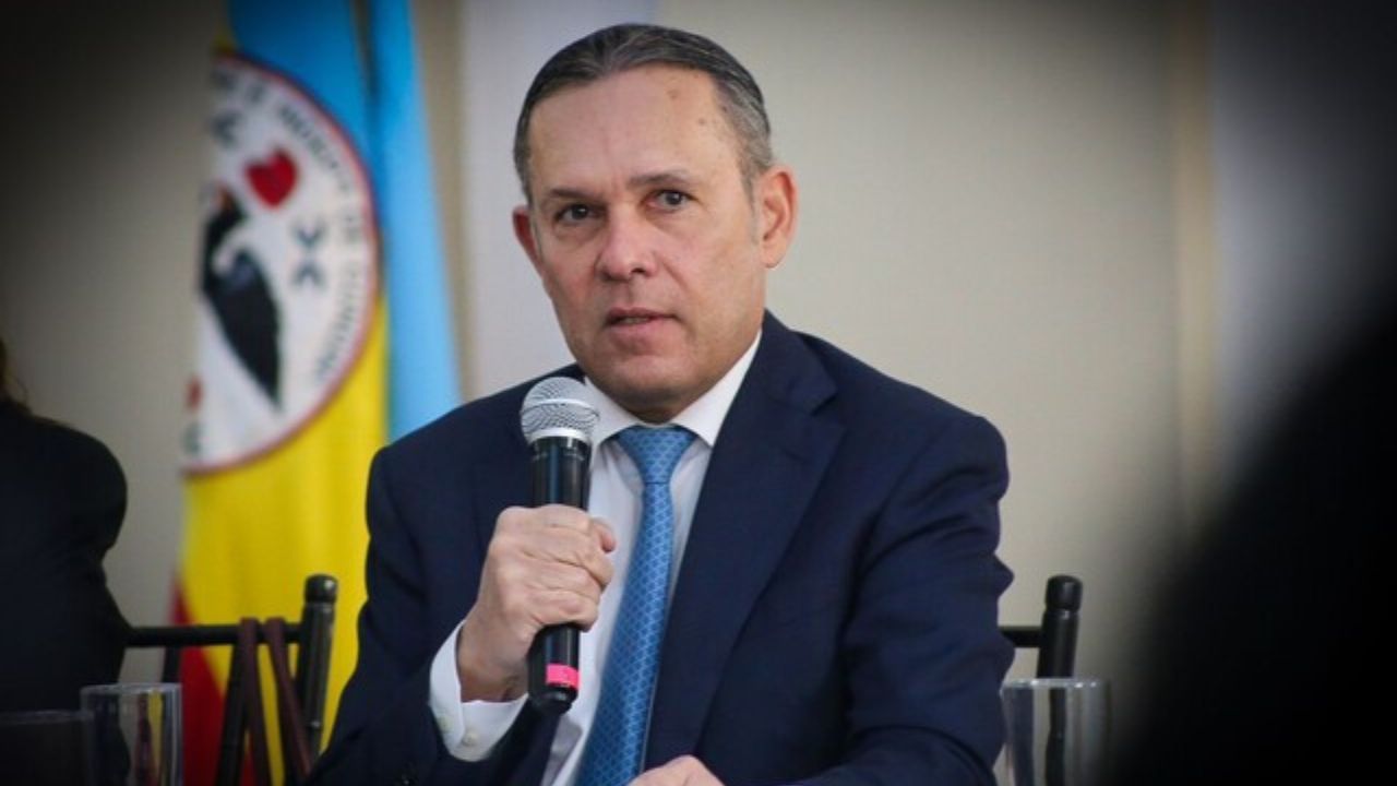 cepeda_sobre_tramite_de_la_consulta.jpg