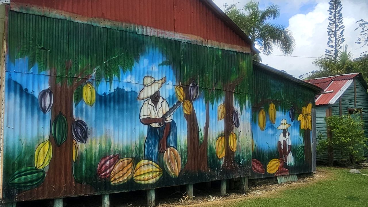 mural_plantacion_cacao.jpg