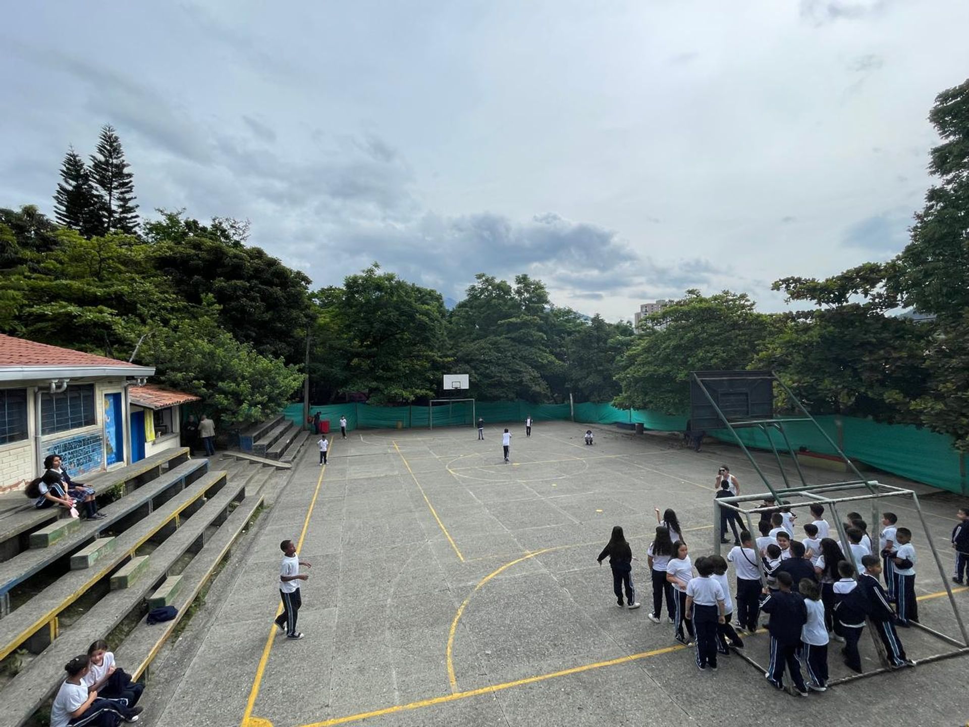 large_0.jpg